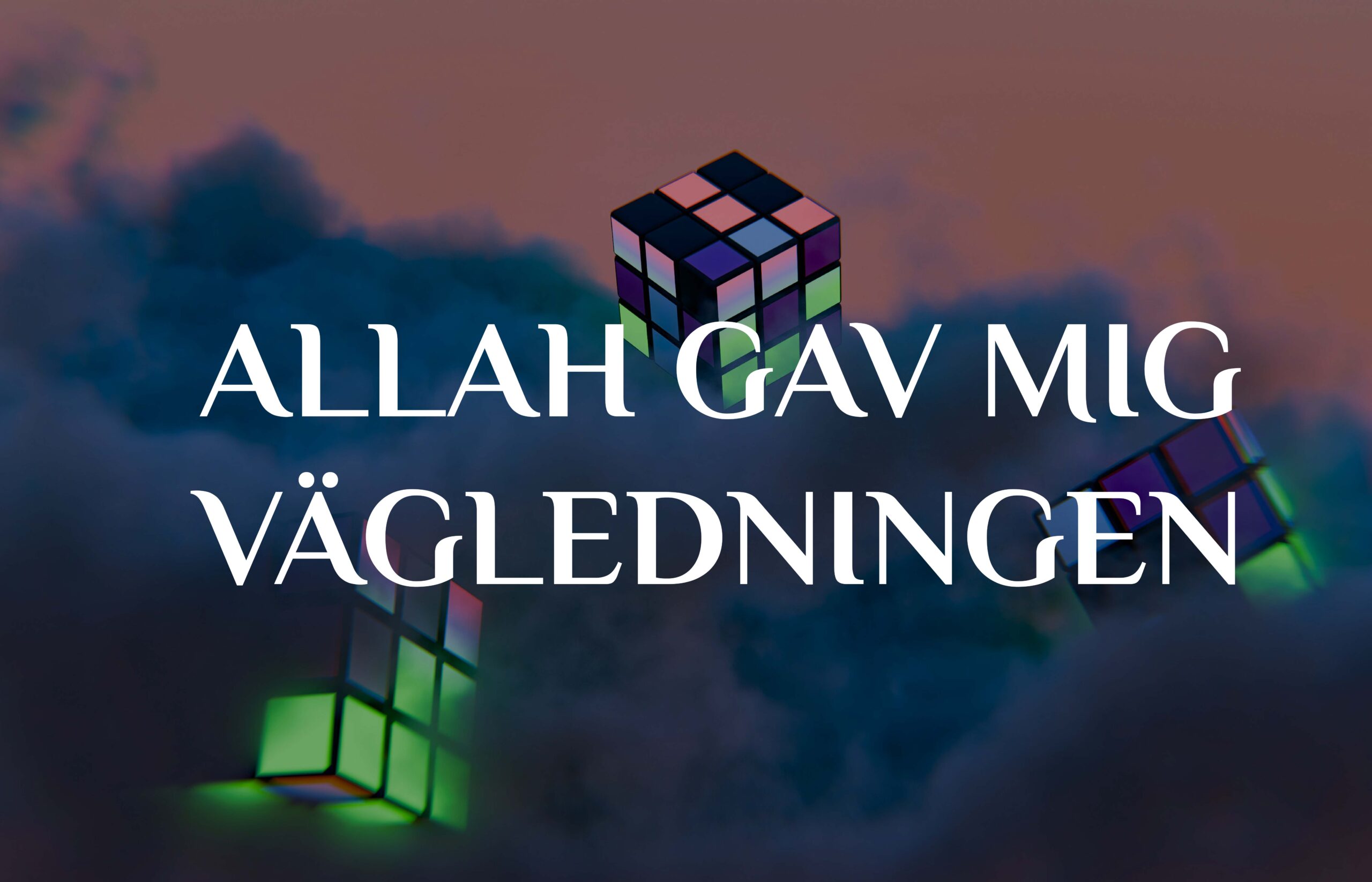 ALLAH GAV MIG VÄGLEDNINGEN