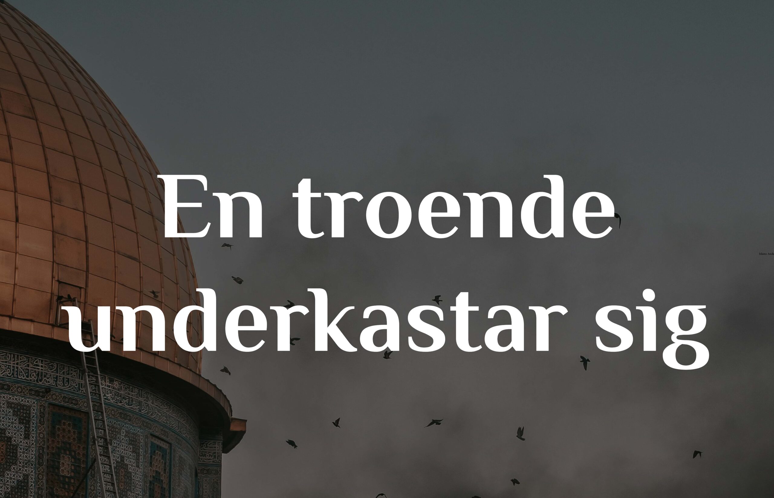 ’Den troende’, ’den som underkastar sig’ och ’den som överger’