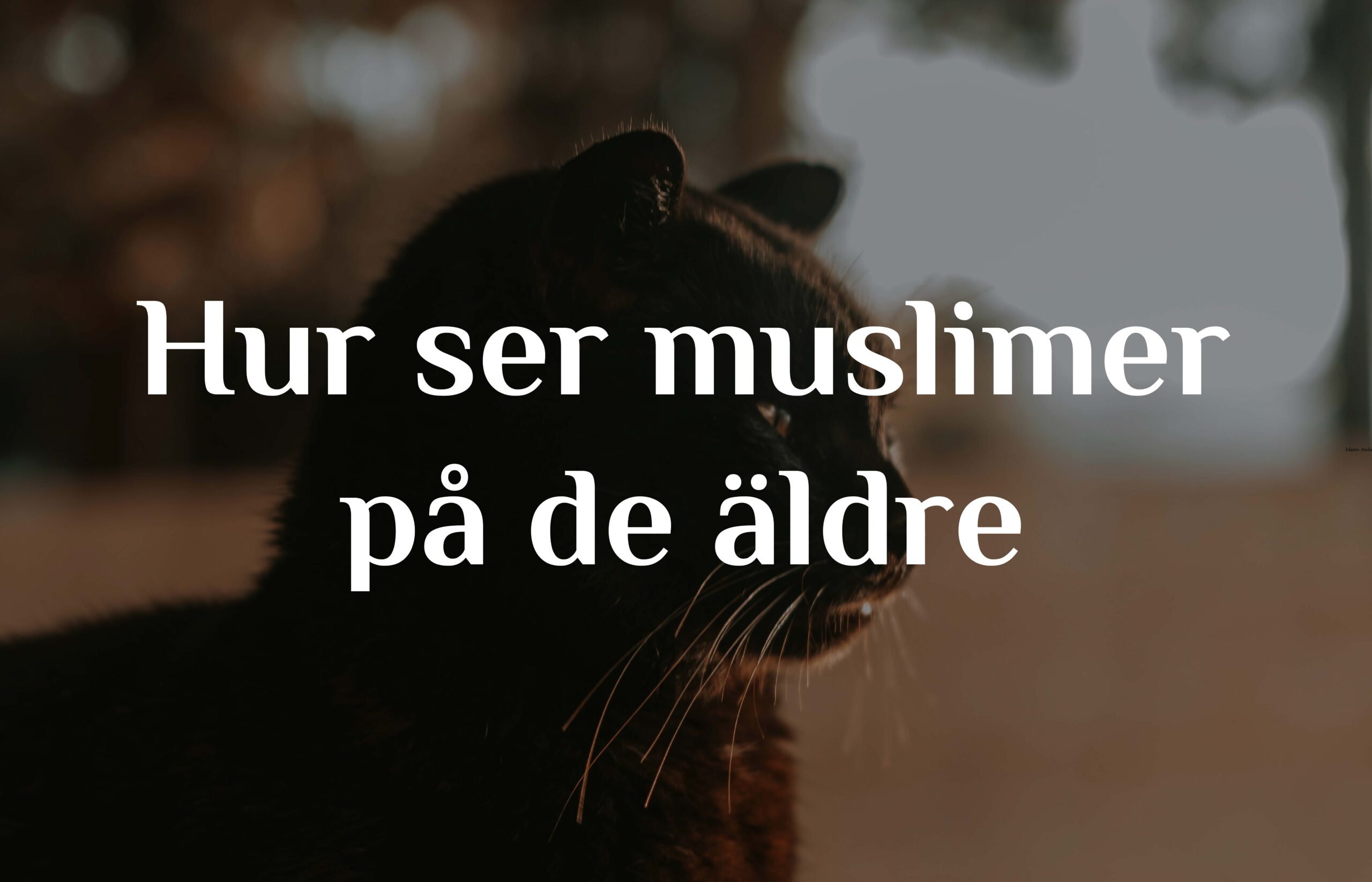 Hur ser muslimer på de äldre på döden och på livet efter detta?