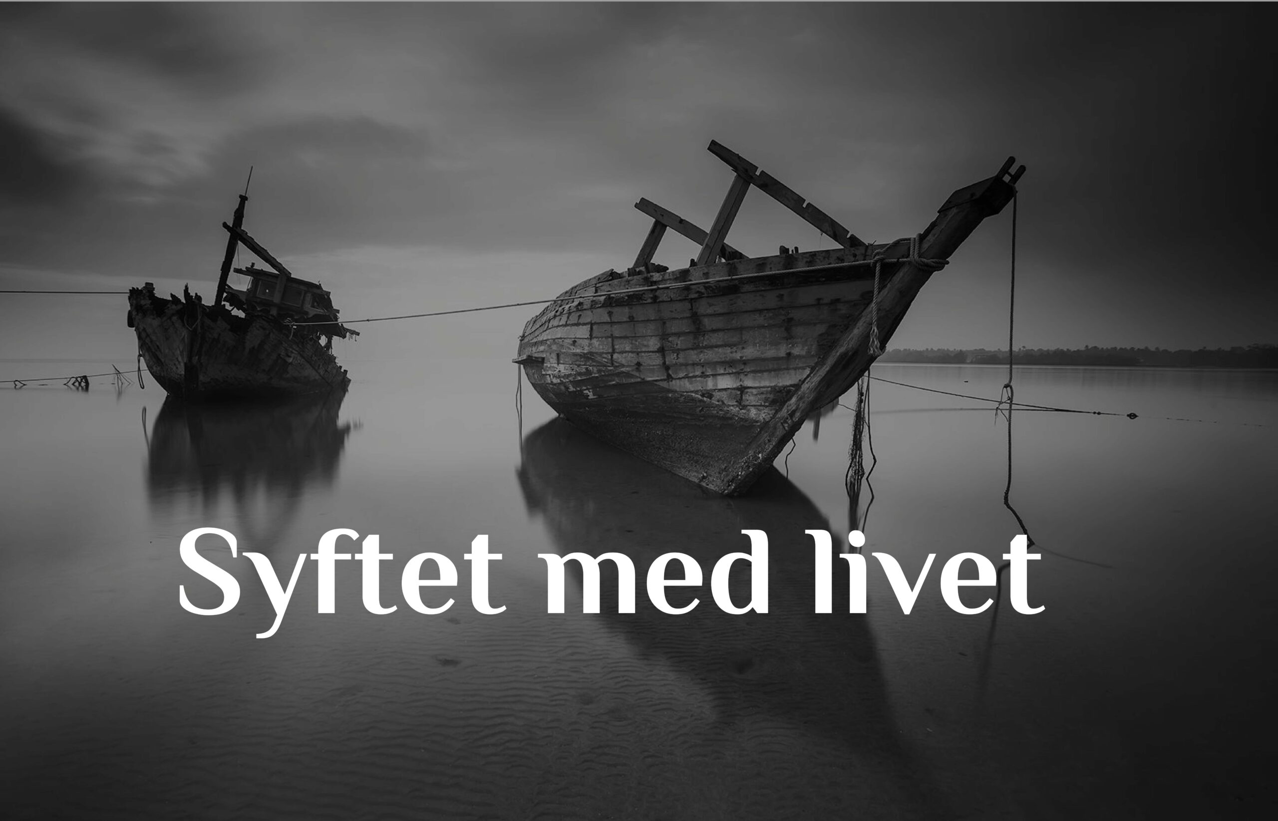 Syftet med livet