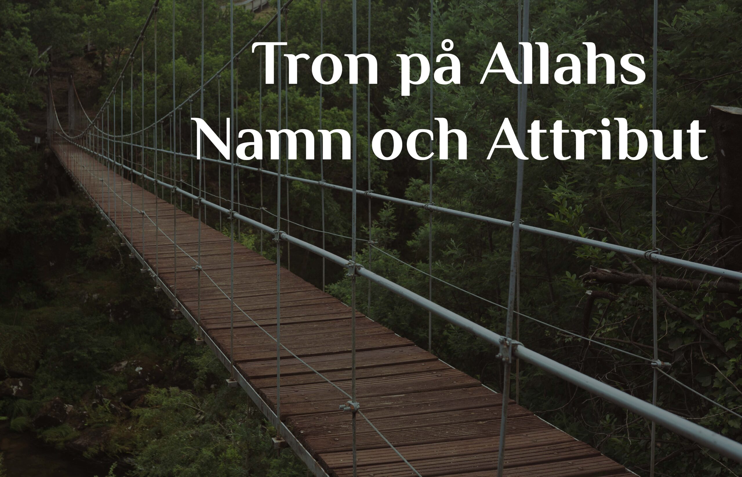 Tron på Allahs Namn och Attribut