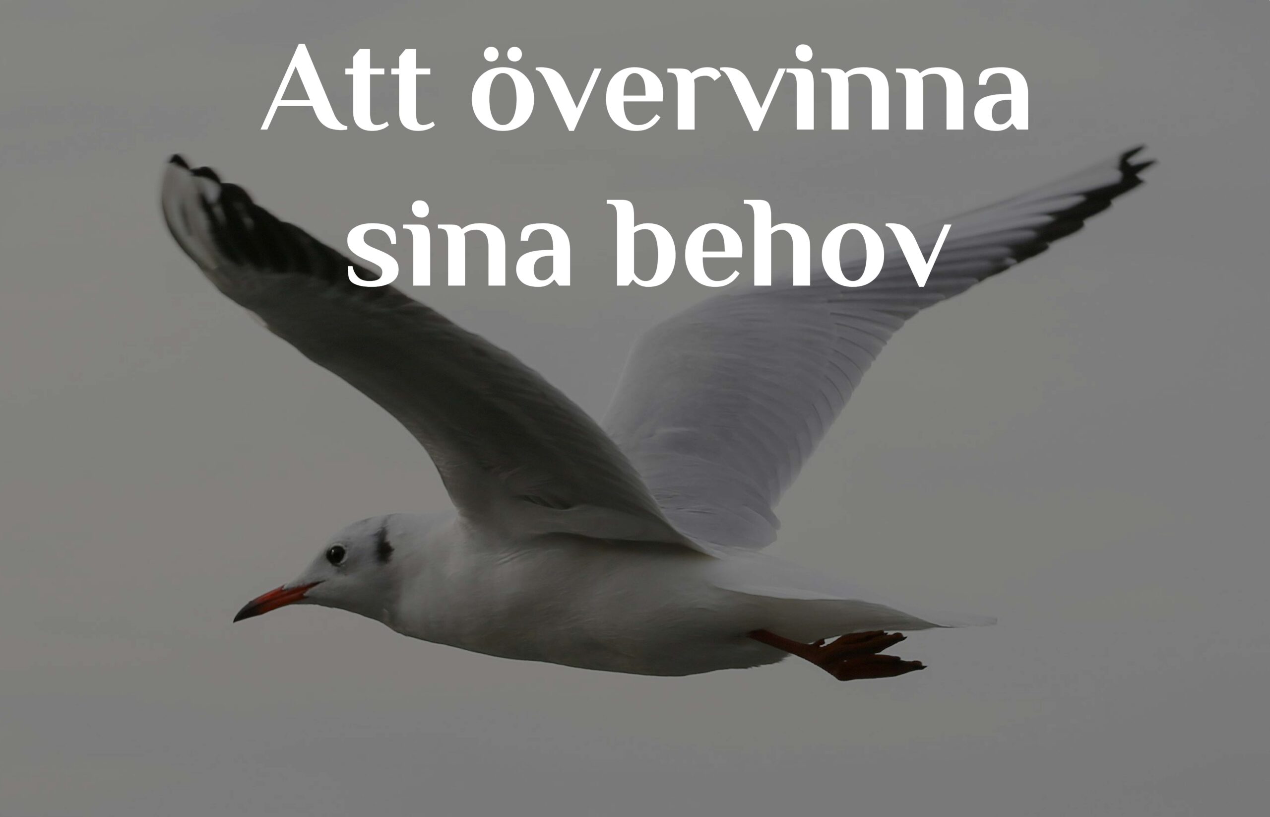 Att övervinna sina behov och lustar vid fastan