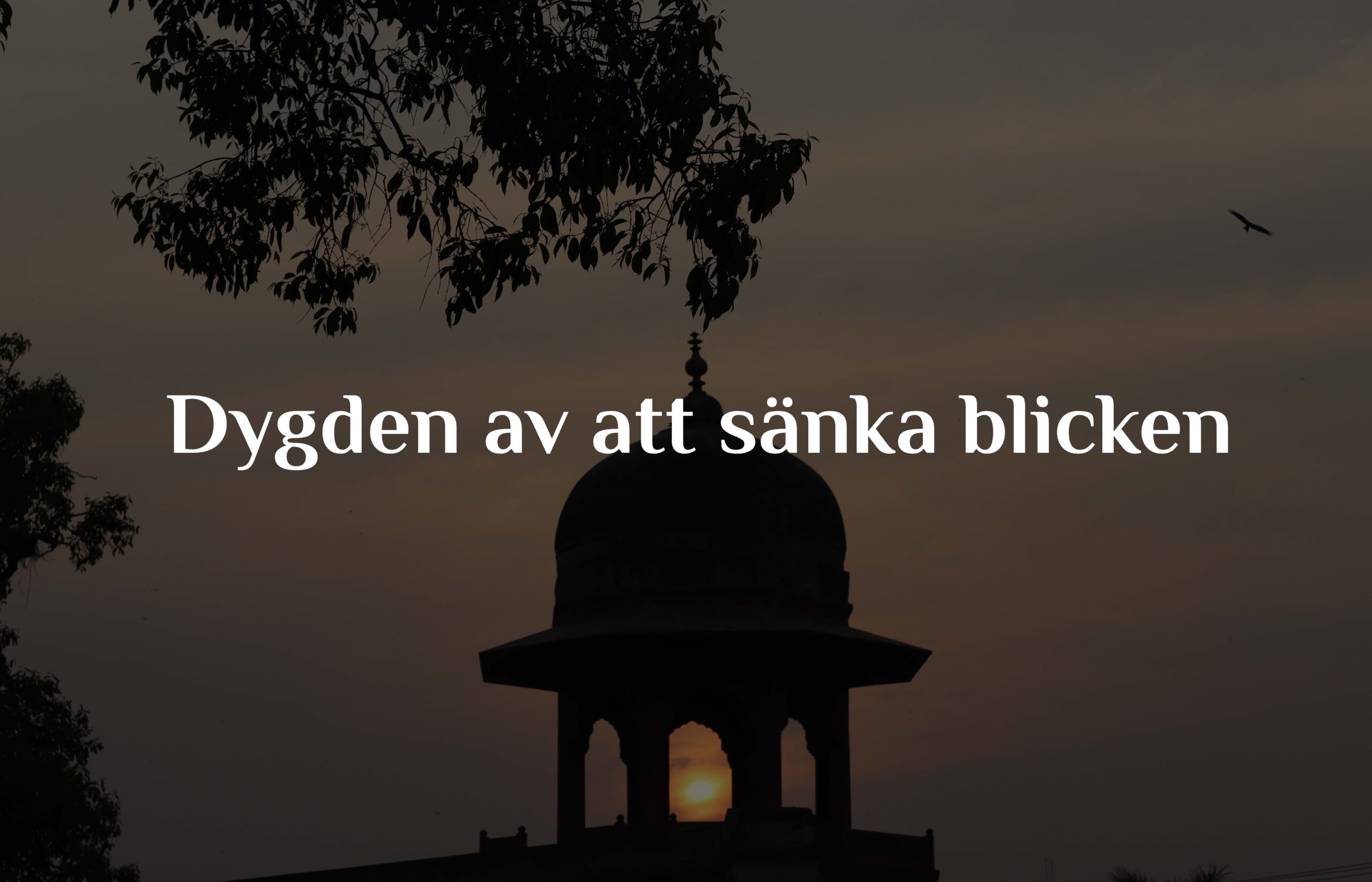Dygden av att sänka blicken