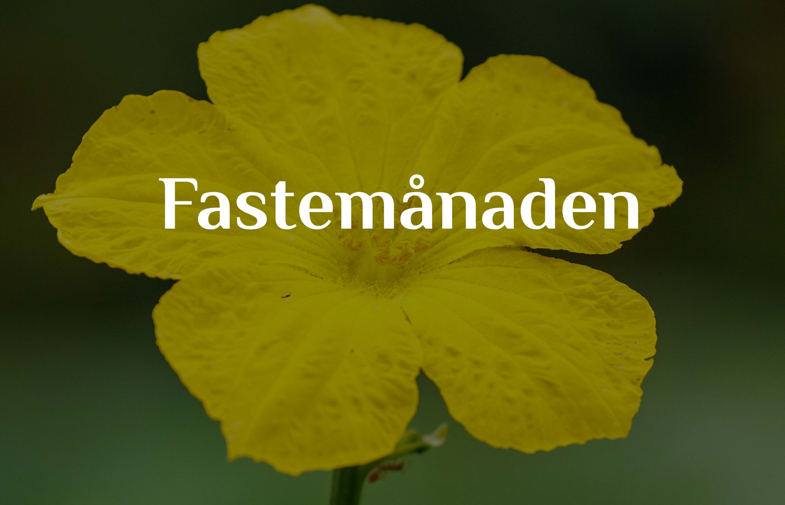 Fastemånaden