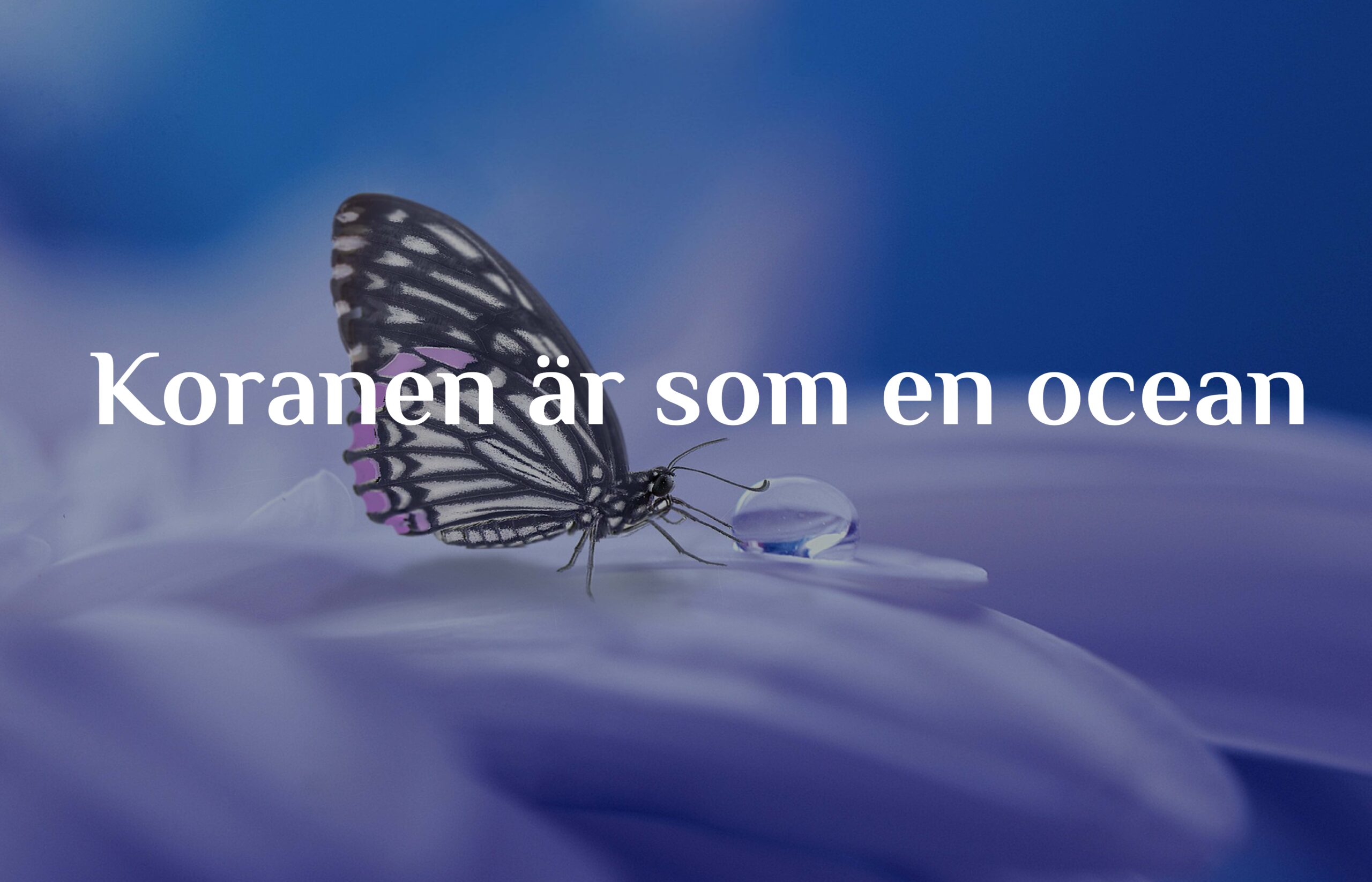 Koranen är som en ocean