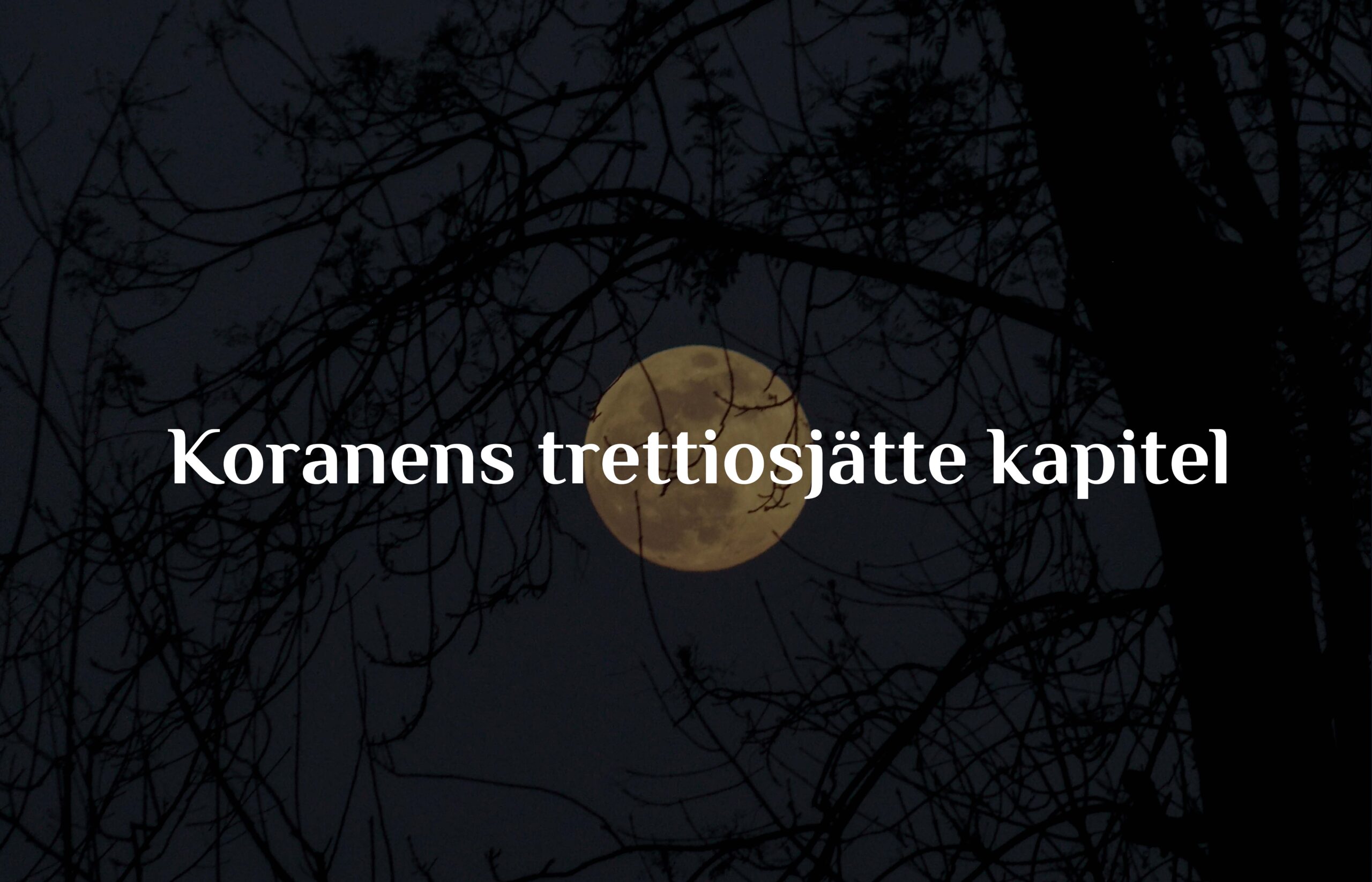 Tematisk kommentar till Koranens trettiosjätte kapitel