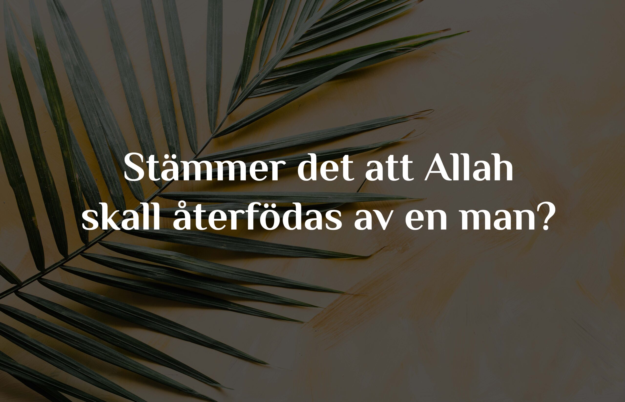 Stämmer det att Allah skall återfödas av en man?