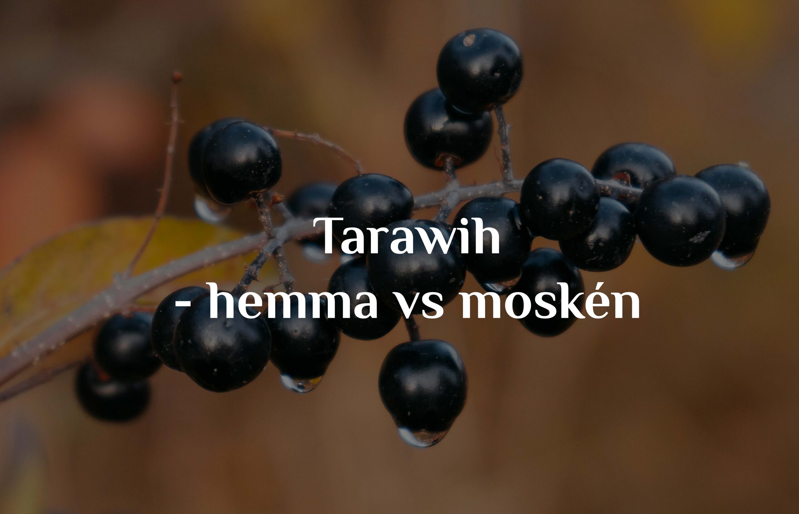 Tarawih – hemma eller i moskén?