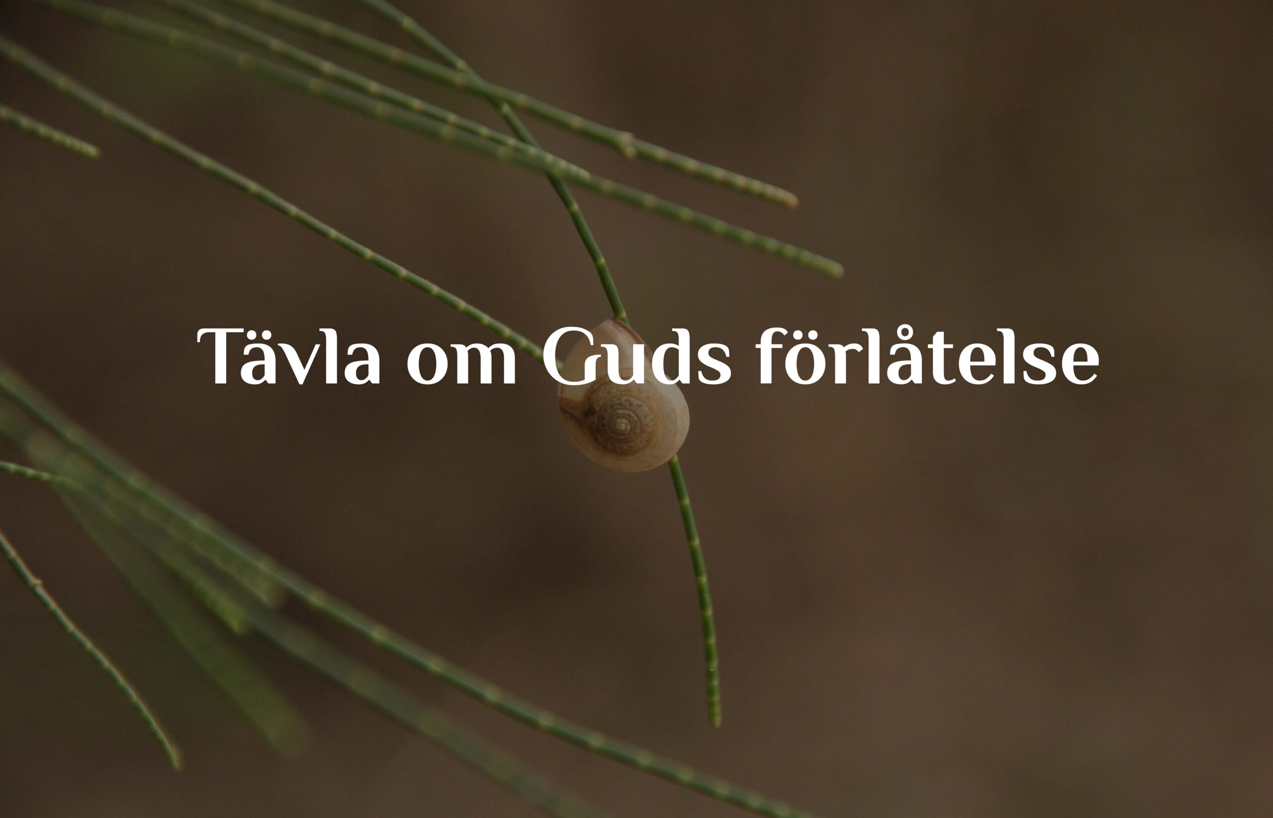 Tävla om Guds förlåtelse