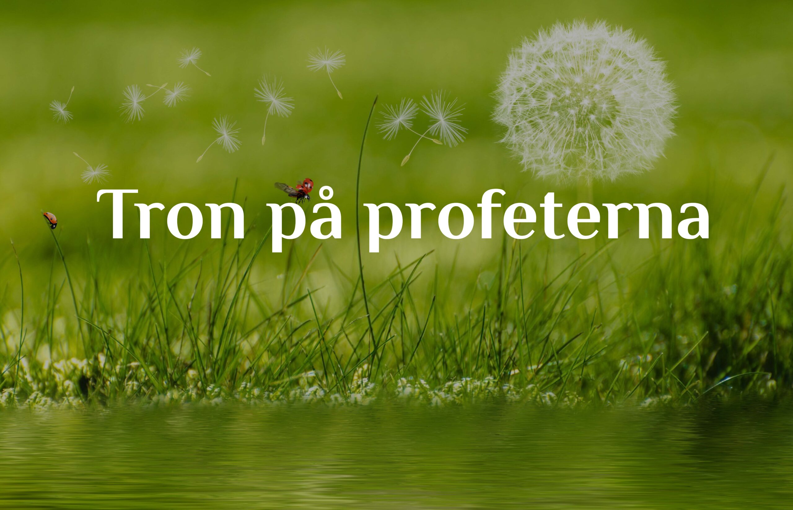 Tron på profeterna