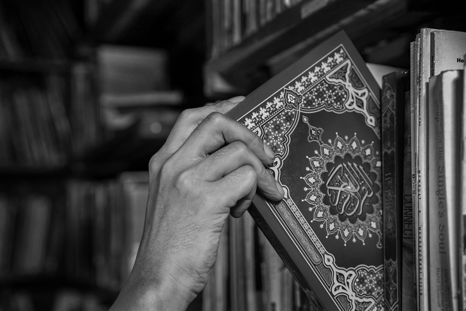 Beviset från Koranen & sunnah